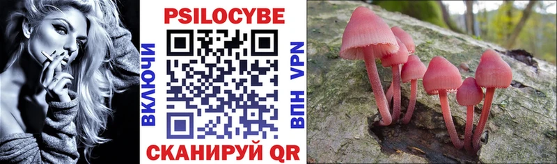 наркошоп  Талдом  Галлюциногенные грибы мухоморы 